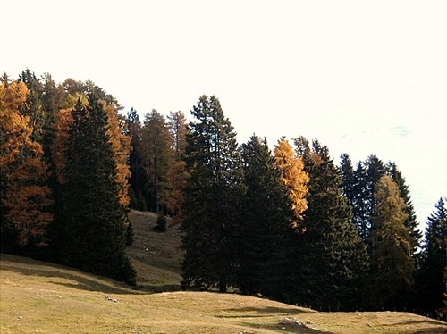 PA240008.JPG