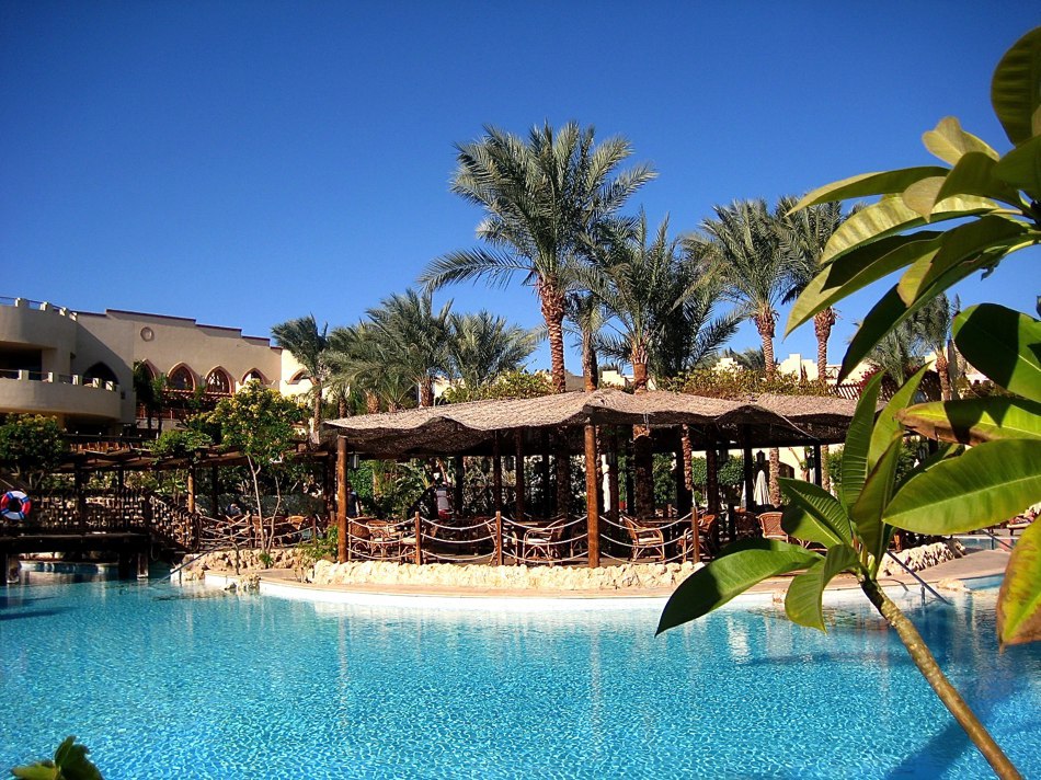 Pool Island Grill