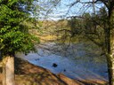 Natur Foresta Umbra