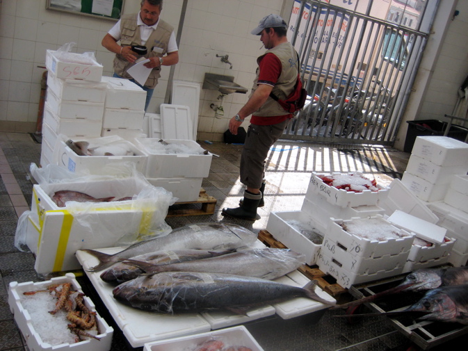 Der Fischmarkt