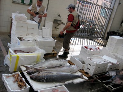 Der Fischmarkt