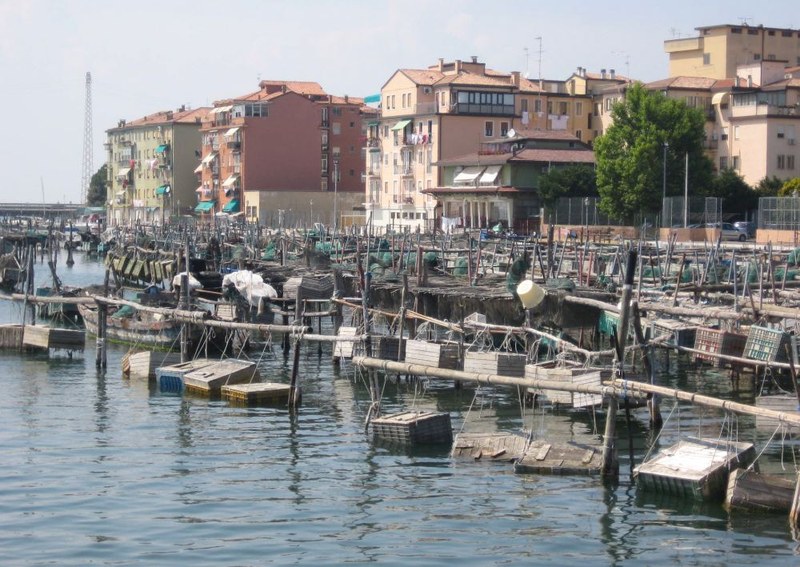 In Chioggia