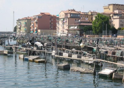In Chioggia