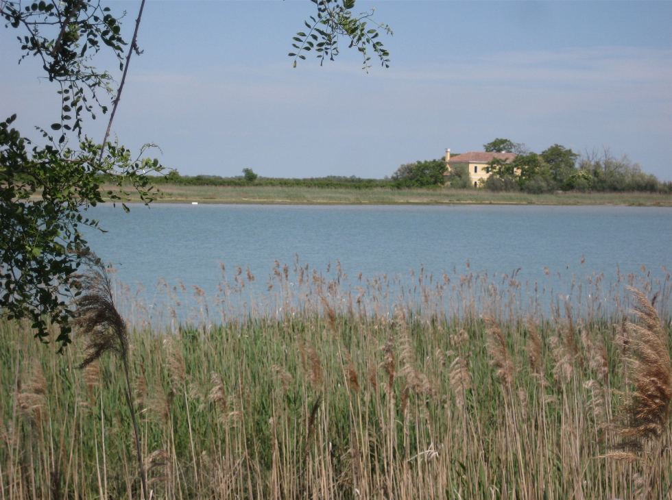 In der Lagune Caorle