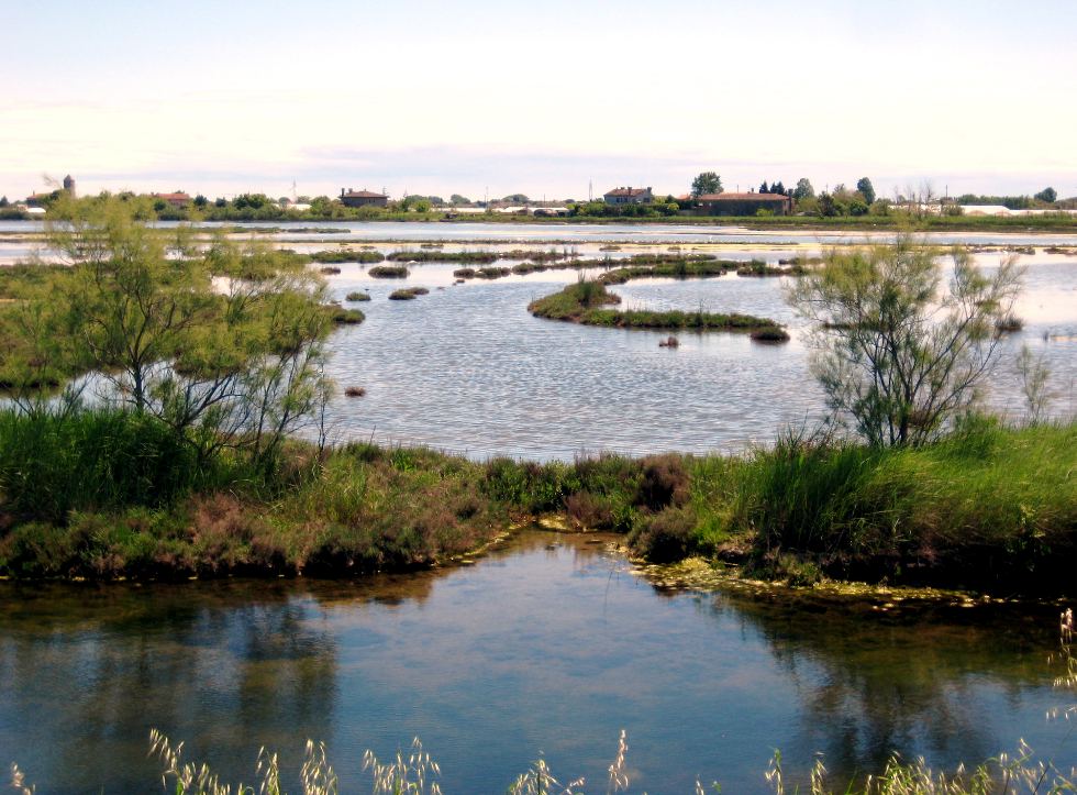 Lagune Venedigs