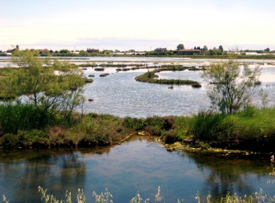 Lagune Venedigs