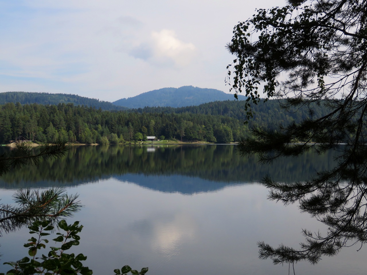 Rund um den Forstsee