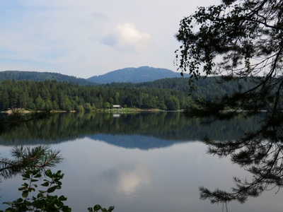 Rund um den Forstsee