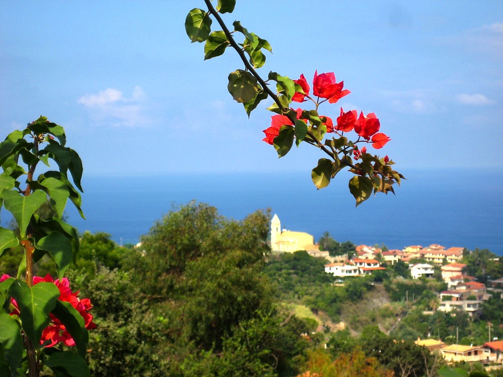 Santa Domenica