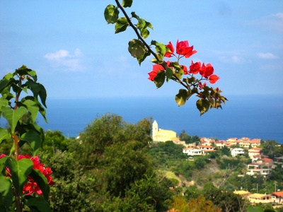 Santa Domenica