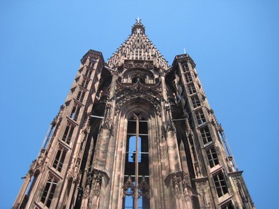 IMG_2232.jpg